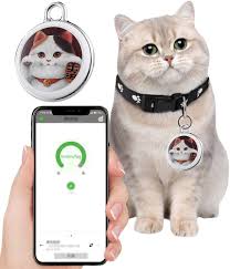 HIMS: Rastreador GPS Sin Carga para Mascotas