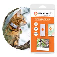 Weenect Cats Blanco 2021: Localizador para Gatos
