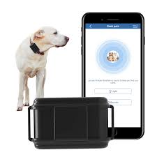 Winnes: Localizador GPS para Coche y Mascotas