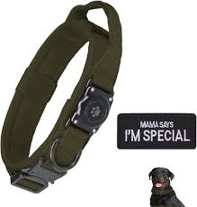Collar Táctico para Perro con AirTag S1