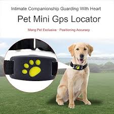 Rastreador GPS para Mascotas: Collar para Perros y Gatos