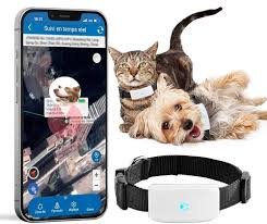 Rastreador GPS Mini para Perros Sin Suscripción