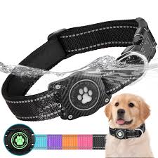 Collar Impermeable para Perro con Soporte Integrado para Airtag