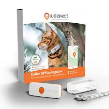 Weenect Cat XS: Mini GPS para Gatos en Tiempo Real