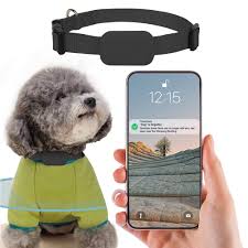 Collar GPS RuiDay para Mascotas: Localización en Tiempo Real (Negro)