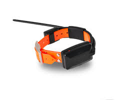 Collar GPS para Perros X20+ "Plus