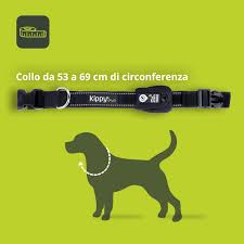 Kippy EVO: Collar GPS para Perros Pequeños