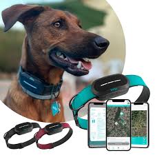 KOLYY: Collar GPS para Perros con Localización en Tiempo Real