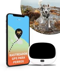 PAJ Localizador GPS 4G para Mascotas