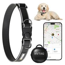 Collar GPS Inteligente para Perros - Seguimiento Ilimitado