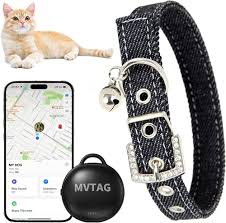 Collar GPS para Gatos: Seguimiento Inteligente