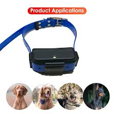 Collar GPS 4G para Perros: Alarma