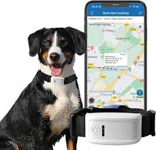 WINNES: Localizador GPS para Mascotas en Tiempo Real