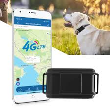 Collar GPS 4G para Perros de Caza - Sin Suscripción