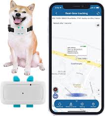 Collar GPS Sin Suscripción para Perros y Gatos - Seguimiento en Tiempo Real