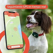 Pitpat: Localizador GPS para Perros Sin Suscripción