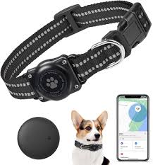 Rastreador GPS Mini para Perros Sin Suscripción