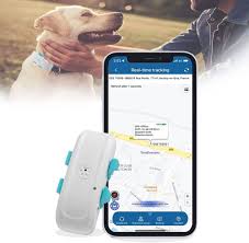 Collar GPS para Perros - Localizador Sin Suscripción IP66