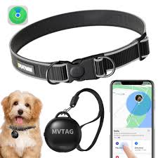 Collar GPS para Perros - Localizador Sin Costos