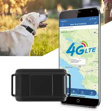 Collar GPS TKMARS 4G para Perros de Caza - Sin Suscripción