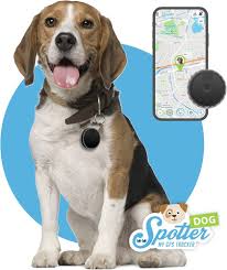 Localizador GPS 4G para Perros - Seguimiento Preciso e Impermeable
