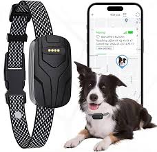 MASBRILL: Collar GPS Inteligente para Perros