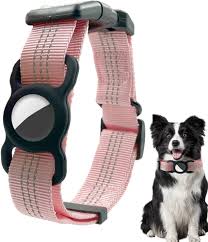 Cámara y Collar GPS para Gatos Pologmase