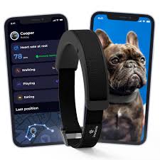 Collar Inteligente Invoxia para Perros: Monitoreo Cardíaco