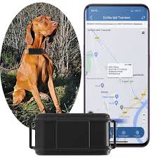 Collar GPS 4G para Perros de Caza - Localizador IP67