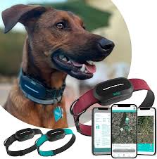 KOLYY: Collar GPS para Perros con Localización en Tiempo Real