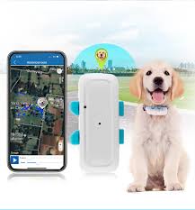Localizador GPS Mini TK911Pro para Mascotas