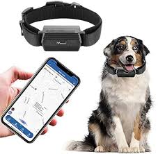 Localizador GPS para Perros Zeerkeer - Rastreador Impermeable y Ligero con Geofence y Alarma SOS