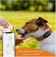 Weenect XS - Rastreador GPS para Perros (Edición Negra 2023)
