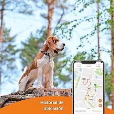Weenect Dogs 2: Rastreador GPS Compacto para Perros