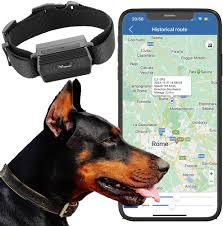 Winnes: Collar GPS para Perros