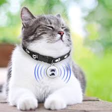 Kexpery - Localizador GPS Antipérdida para Mascotas
