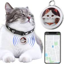 HIMS: Collar GPS para Gatos Líder en el Mercado