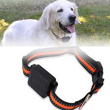 McbeAn: Localizador GPS para Mascotas