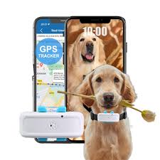 Localizador GPS Impermeable para Perros con Valla de Seguridad