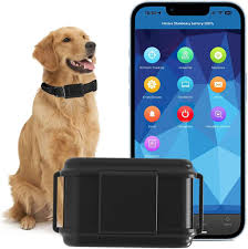 Collar GPS Winnes 4G para Perros - Batería 3000mAh