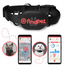 findPet: Collar GPS Ultra Ligero para Gatos y Perros