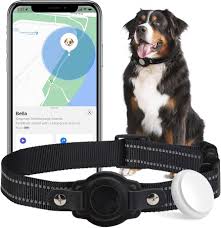 Collar GPS Inteligente para Perros