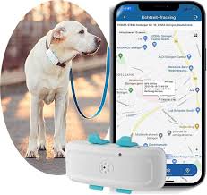 TKMARS: Localizador GPS para Perros - 15 Días de Autonomía