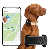 Tractive GPS para Perros: Localización en Tiempo Real