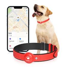 Collar GPS Inteligente MODUS para Mascotas: 2 en 1
