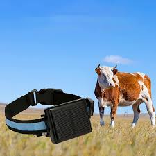 Localizador GPS para Mascotas con Energía Eficiente