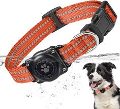 Collar de Perro Impermeable con Apple AirTag