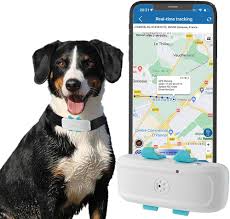 Collar GPS para Mascotas con Tarjeta SIM