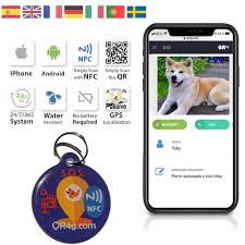 Placa Inteligente QR4G: Identificación GPS para Mascotas