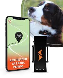 PAJ GPS para Perros: Seguimiento en Vivo y Alarma de Huida